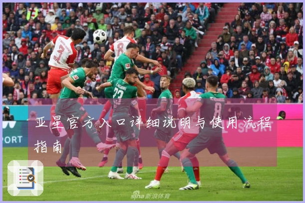 亚星官方入口详细说明与使用流程指南