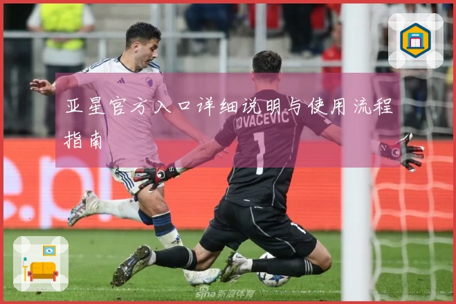 亚星官方入口详细说明与使用流程指南